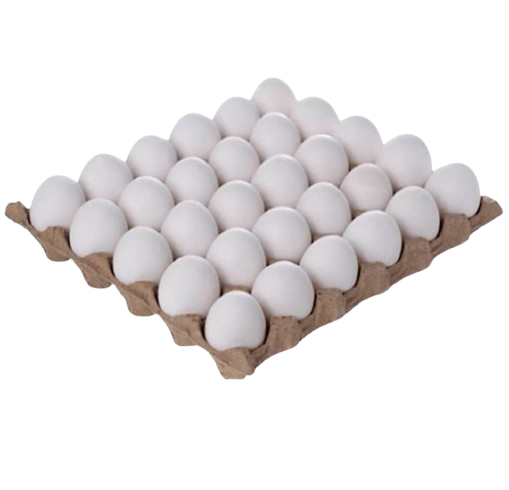 Huevos Blancos x30